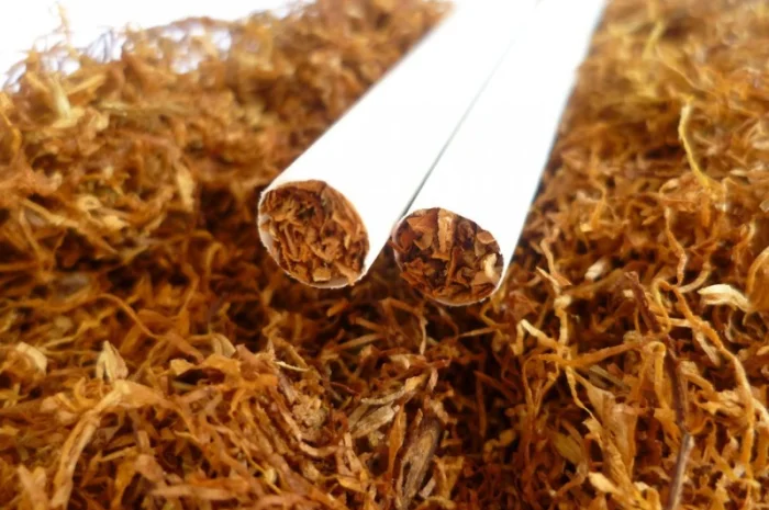 ІМПОРТНИЙ тютюн БЕРЛІ - дивовижний смак !!! ЧУДОВА якість!!!+ величезний вибір- фото № 4