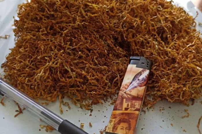 ТАБАК для ВСЕХ.,  для самокруток . Лучшие цены. Скидки!!! Подарки- фото № 2