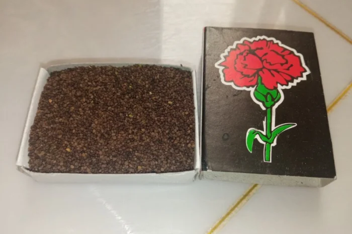 Продам насіння тютюну. Табак. Самосад. Махорка- фото № 1