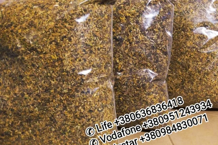 Кент, Винстон, Ротманс, Мальборо, <span style="background-color: #fed034; color: black;">Парламент</span>- фото № 16