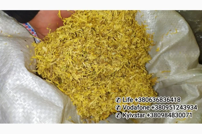 Кент, Винстон, Ротманс, Мальборо, <span style="background-color: #fed034; color: black;">Парламент</span>- фото № 12