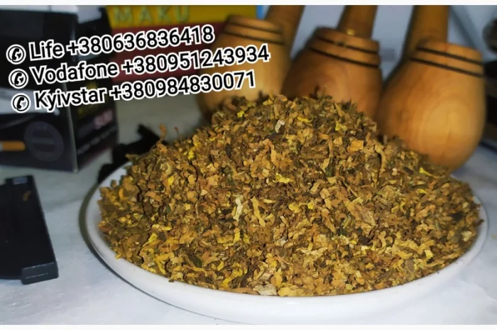 Кент, Винстон, Ротманс, Мальборо, <span style="background-color: #fed034; color: black;">Парламент</span>- фото № 8