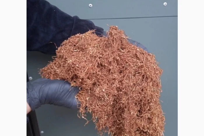 Продаємо тютюн високої якості для сигарет 1 кг- фото № 2