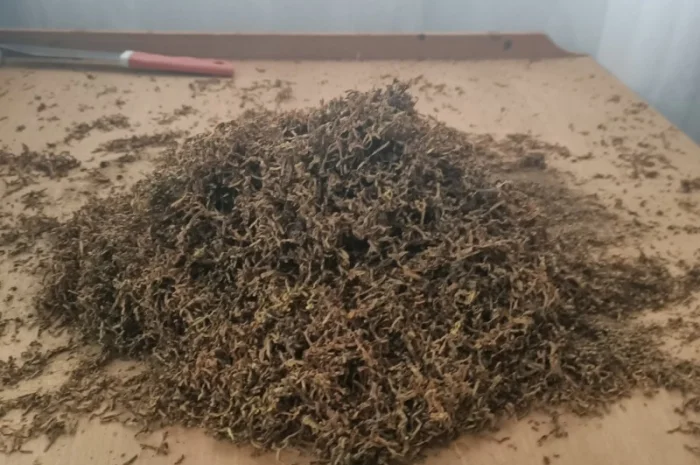 Продам тютюн для самокруток- фото № 1