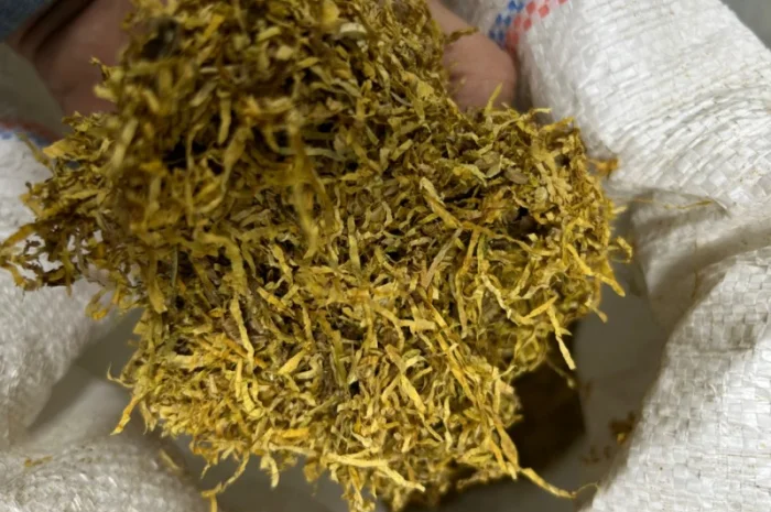 Продам табак!!! фабричная лапша и ломана лапша. идеально подходит для всех видов машинок- фото № 1