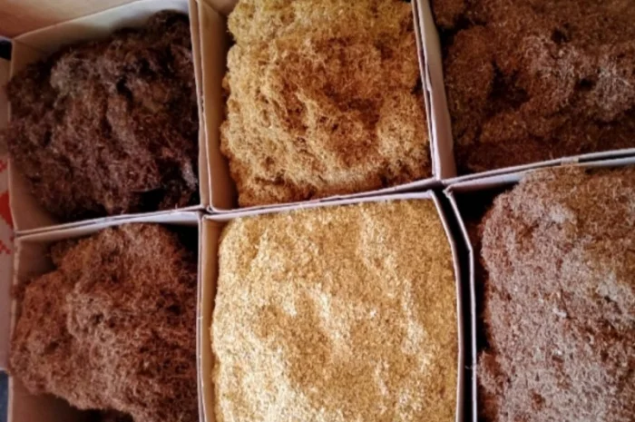 Табак-Україна,  для самокруток- фото № 2