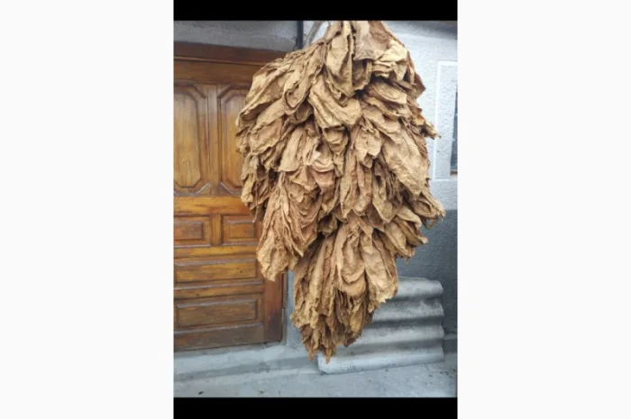 Продам лист тютюну, сорт Берлей- фото № 6