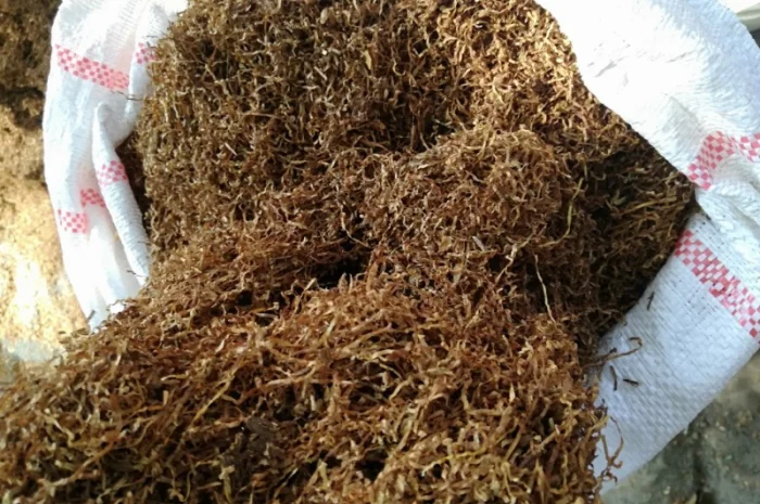 Продам тютюн для самокруток- фото № 3