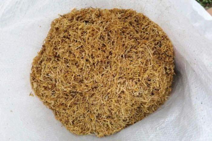 Фабричний тютюн- фото № 1