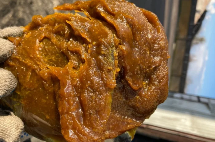 Фуз соевый, осадок соевого масла- фото № 1