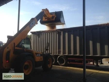 Услуги зерновозов самосвалов Даф в Киеве- фото № 2