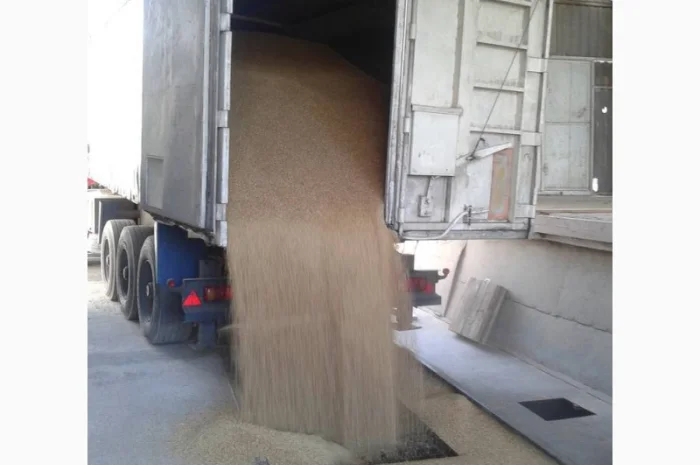Услуги зерновоза для перевозки зерна пшеницы- фото № 8