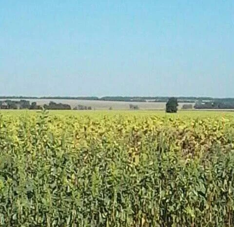 Замовити Газель до 1- фото № 1