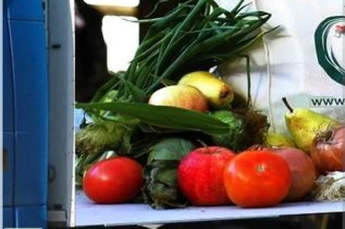 Перевозим бережно! Малотоннаж по г.Днепр и Украине- фото № 1