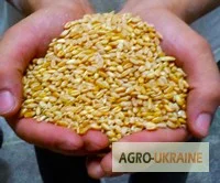 Еврозерновозы для перевозки зерна в Чернигове- фото № 4