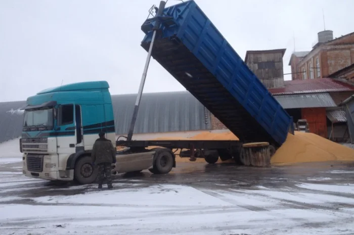 Самосвальні зерновози. Жнива 2024 р. Агроперевозки- фото № 1