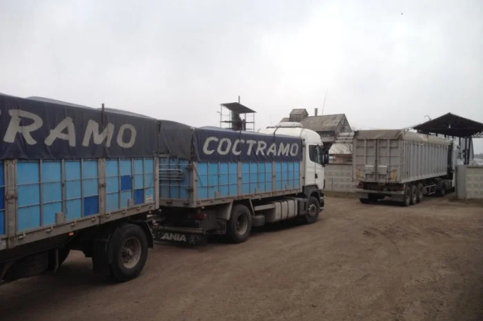 Самосвальні зерновози. Жнива 2024 р. Агроперевозки- фото № 3