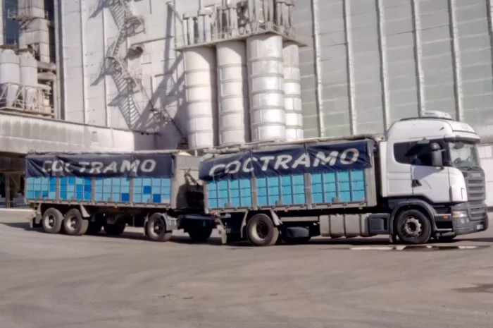 Зерновоз, самосвал, семечка, кукуруза, пшеница- фото № 1