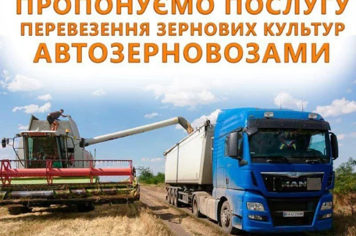 Надаємо послуги перевезення зерна автозерновозами- фото № 1