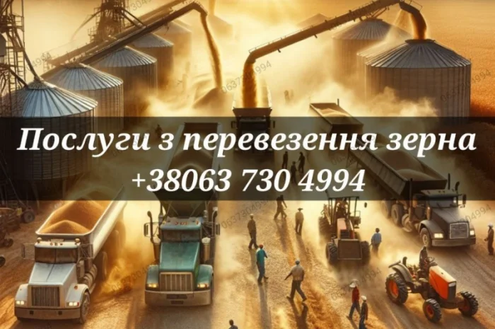 Перевезення зерна- фото № 1
