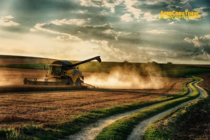 Послуги по збиранню урожаю- фото № 1