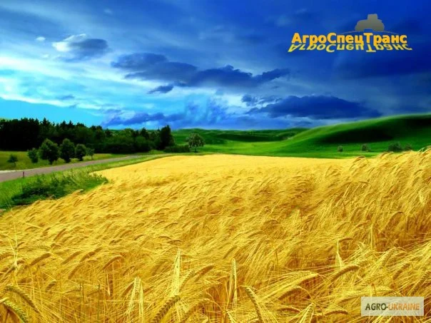 Аренда сельскохозяйственной техники на уборку зерновых культур- фото № 1