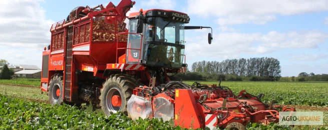 Аренда свеклоуборочного комбайна в Киеве- фото № 1