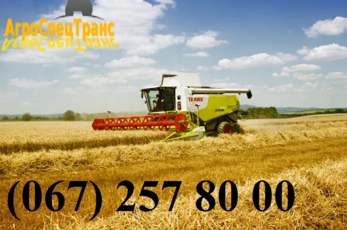 Уборка урожая- фото № 1