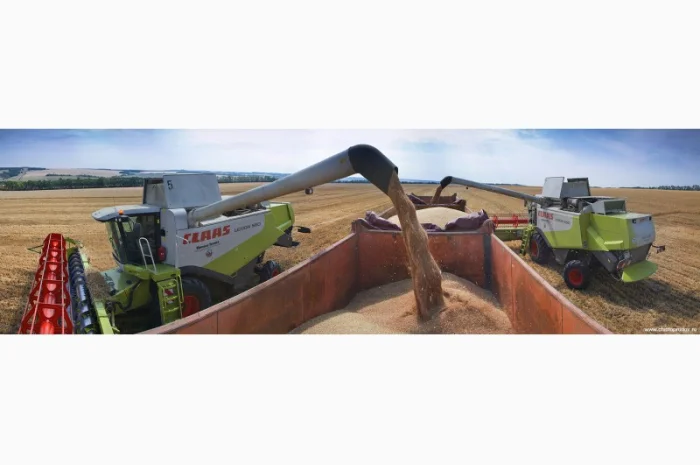 Услуги по уборке урожая комбайнами Херсон. Уборка зерновых Херсон- фото № 3