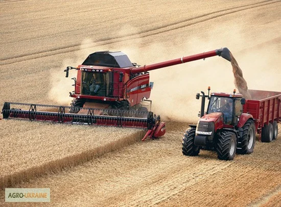 Уборка урожая Николаев. Услуги уборки комбайнами, аренда комбайна, уборка зерновых- фото № 1