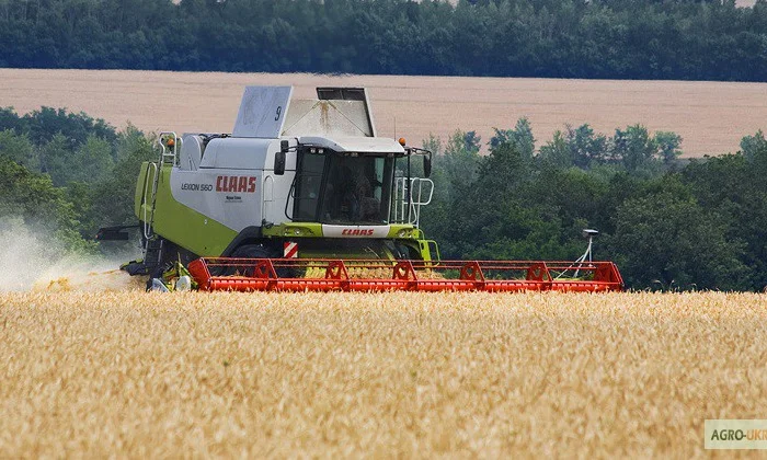 Уборка урожая Николаев. Услуги уборки комбайнами, аренда комбайна, уборка зерновых- фото № 2