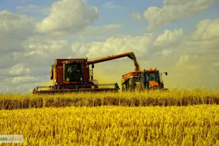 Услуги уборки зерновых комбайнами Запорожье. Уборка урожая комбайнами, аренда комбайна- фото № 4