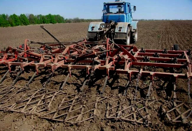 Требуются услуги культивации земли 2000 га в Николаевской области- фото № 1