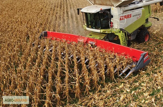 Уборка урожая подсолнечника, сои и кукурузы в Киеве- фото № 1