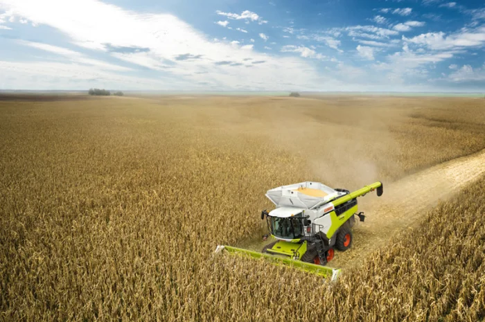 Уборка подсолнечника соняшника кукурузы сои Кропивницкий Александрия Александровка Петрово- фото № 1