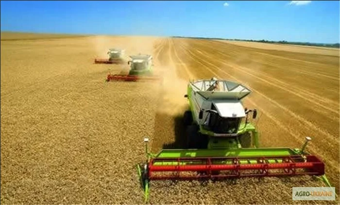 Требуются 4 комбайна для уборки зерновых и подсолнечника- фото № 1