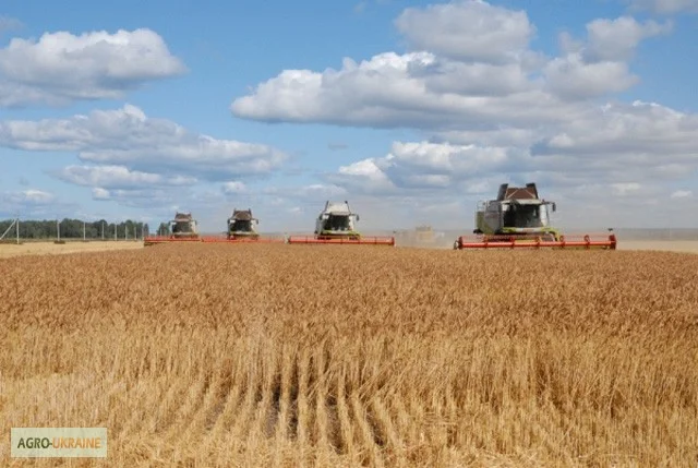 Оказываем услуги уборки урожая по всей Украине- фото № 1
