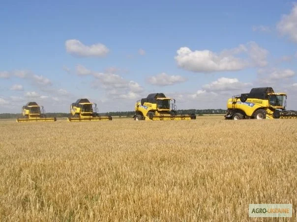 Уборка урожая комбайнами по Украине- фото № 1