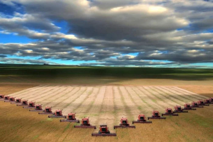 Услуги комбайна Днепропетровск, услуги уборки, аренда комбайнов, заказать комбайн- фото № 1