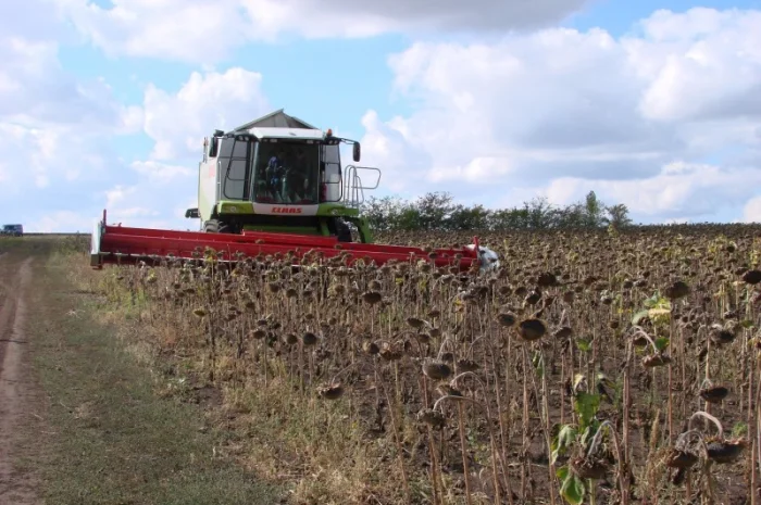 Услуги по уборке подсолнуха кукурузы сои Днепр обработка земли посев- фото № 1