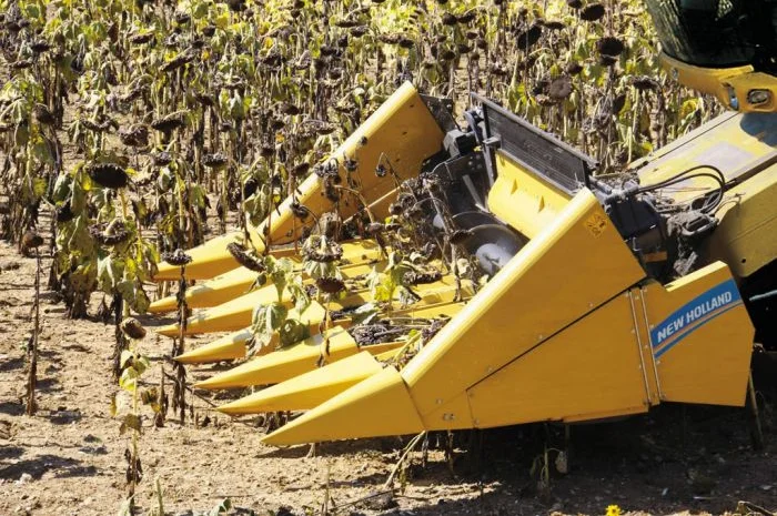 Услуги по уборке сои кукурузы подсолнуха в Харьковской обл- фото № 1