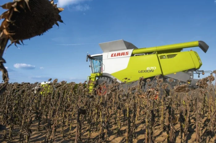 Уборка льна сои подсолнечника соняшника кукурузы Новомиргород Новоукраинка Смолино Петрово- фото № 1