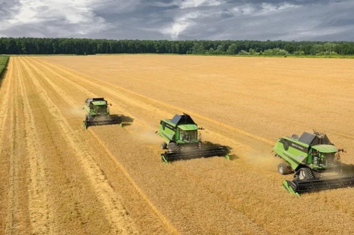 Уборка кукурузы сои подсолнечника соняшника льна Черкассы Ватутино Городище Драбов- фото № 1