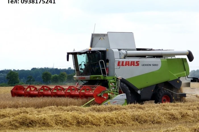 Уборка урожая 2024 года комбайнами Claas Lexion 600- фото № 1