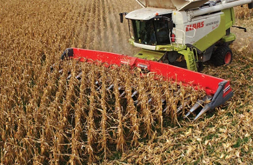 Агро-Холдинг возьмет в аренду комбайны от 2008 года на уборку подсолнечника и кукурузы- фото № 1