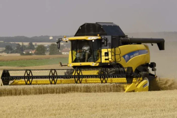 Уборка зерновых масленичных бобовых культур- фото № 1