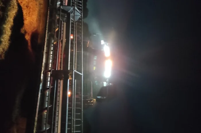 Послуги по збиранню врожаю соняха та кукурудзи- фото № 1