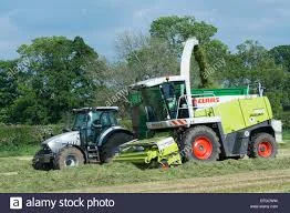 Послуги кормоуборочних комбайнів Ягур- фото № 1