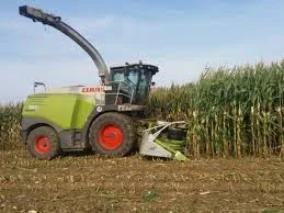 Услуги уборки силоса- фото № 1