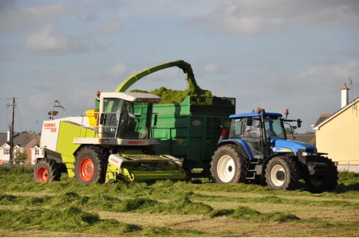 Услуги уборки силоса- фото № 2